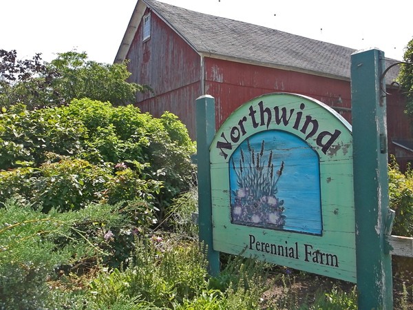 Northwind Perennial Farm